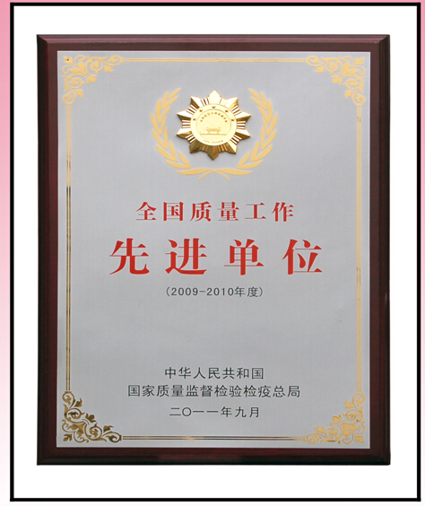 乐玩在线手机版（大中国区）集团先进单位奖牌