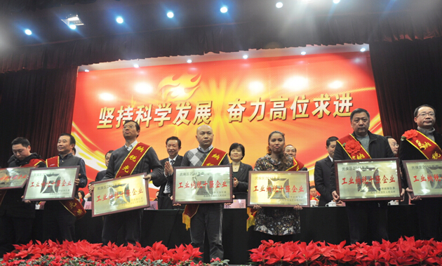 乐玩在线手机版（大中国区）集团纳税十强企业