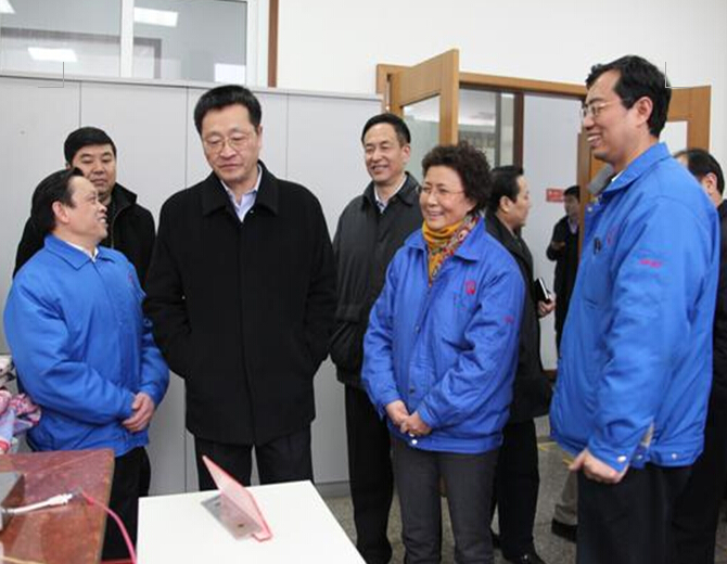 乐玩在线手机版（大中国区）集团董事长带葛市长等相关领导视察质量中心