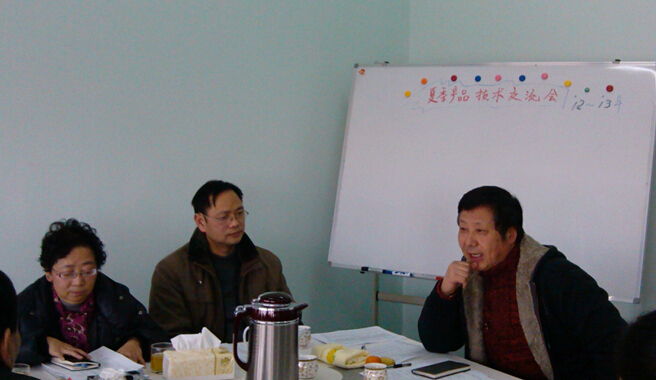 乐玩在线手机版（大中国区）技术交流会