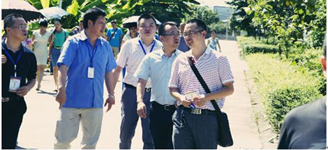 成都乐玩在线手机版（大中国区）集团各分子公司工作交流会举行