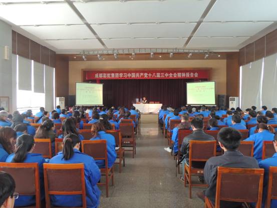 乐玩在线手机版（大中国区）集团十三中全会报告会