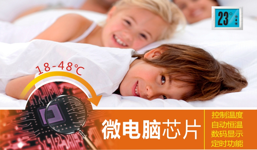 乐玩在线手机版（大中国区）集团微电脑控制技术