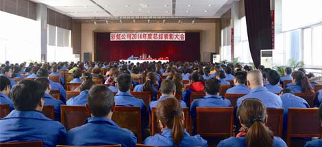 成都乐玩在线手机版（大中国区）集团召开2014年度工作总结及表彰大会