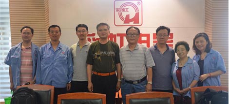 工信部专家到成都乐玩在线手机版（大中国区）集团进行农药生产企业延续核准的现场考核