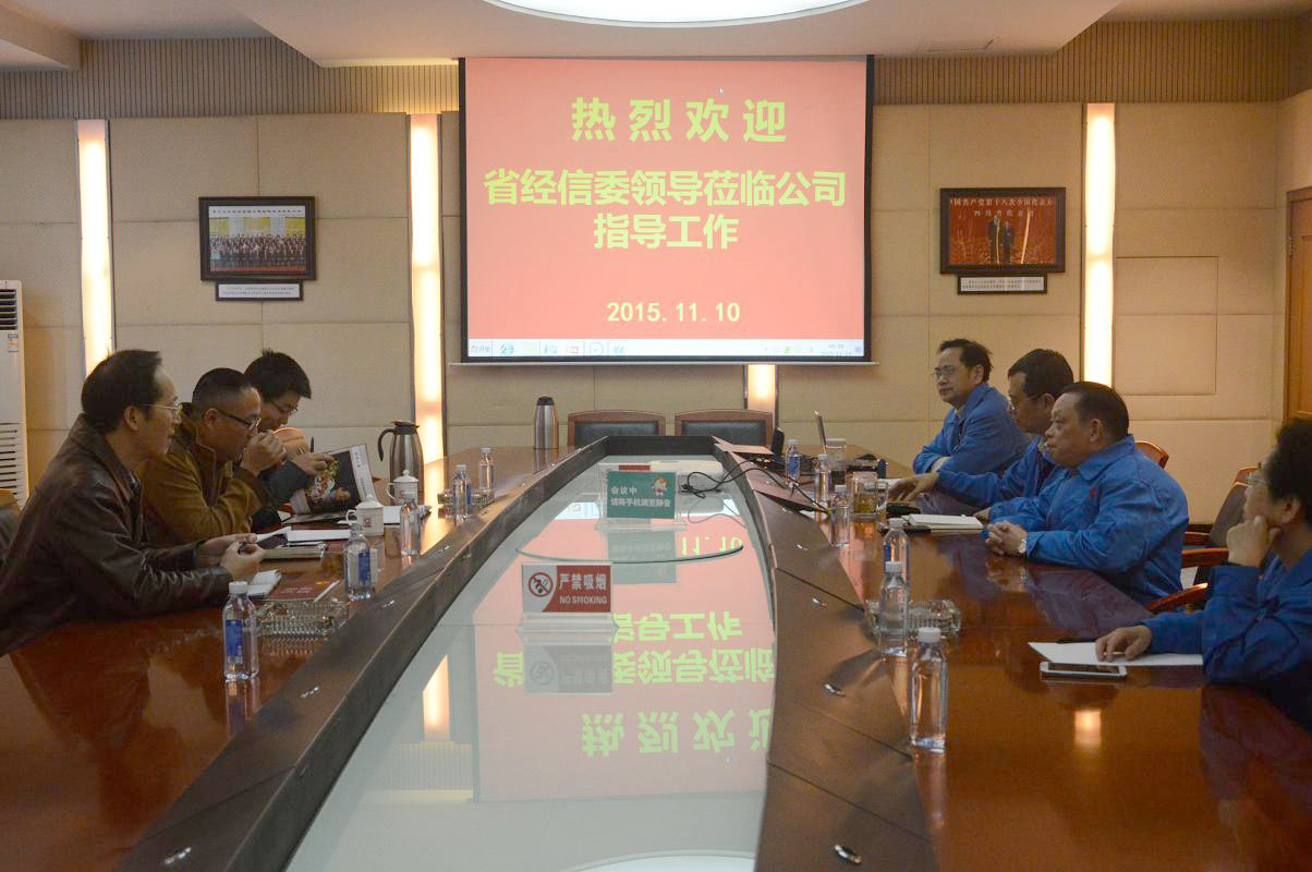 四川省经信委领导调研成都乐玩在线手机版（大中国区）集团