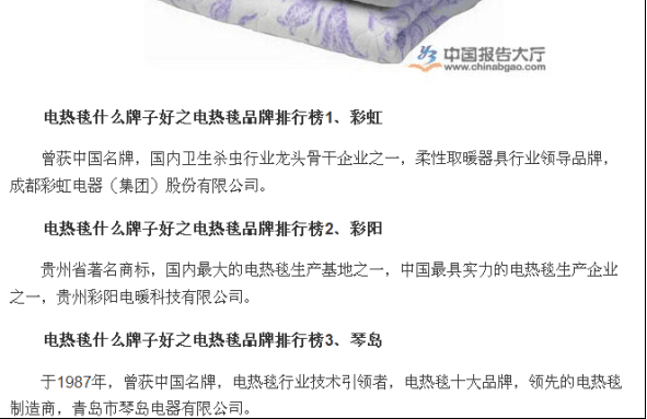 乐玩在线手机版（大中国区）电热毯品牌排行榜居首位