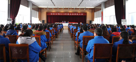 成都乐玩在线手机版（大中国区）集团召开2015年度总结表彰大会