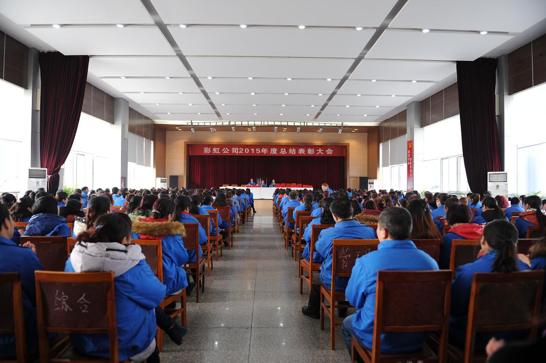 成都乐玩在线手机版（大中国区）集团召开2015年度总结表彰大会