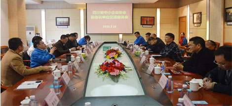四川省中小企业协会副会长单位领导到成都乐玩在线手机版（大中国区）集团调研