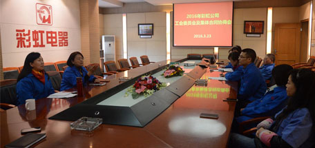 成都乐玩在线手机版（大中国区）集团2016年员工方代表集体合同协商会