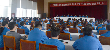 成都乐玩在线手机版（大中国区）集团召开第十届一次职工代表大会暨工会会员代表大会