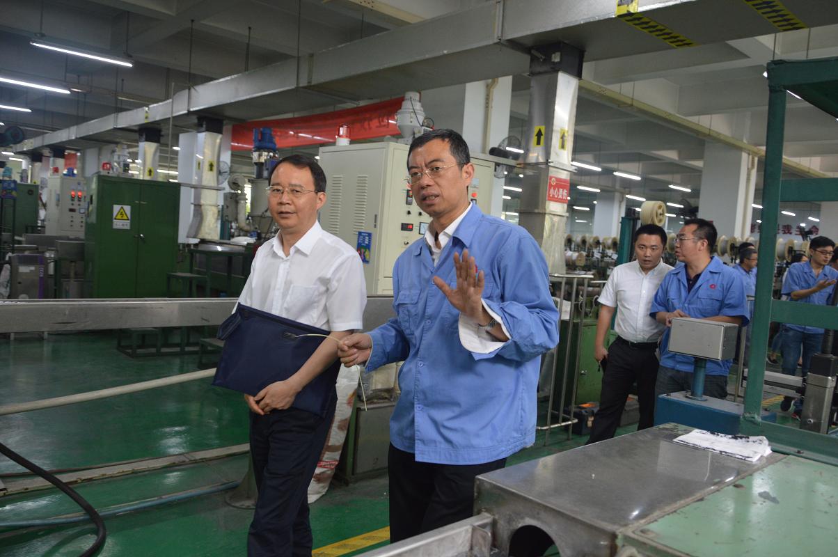 市委财经办和市工业经济发展研究中心领导到成都乐玩在线手机版（大中国区）集团调研