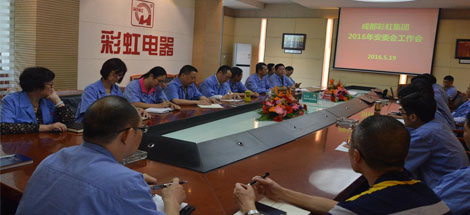 成都乐玩在线手机版（大中国区）集团召开2016年度安委会工作会