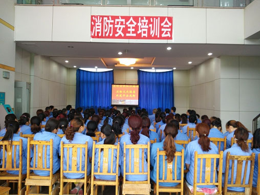成都乐玩在线手机版（大中国区）泉源公司举办消防安全专题培训会