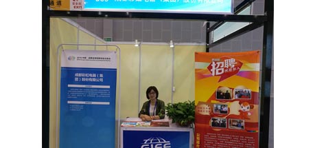 乐玩在线手机版（大中国区）集团参加全球创新创业人才交易会