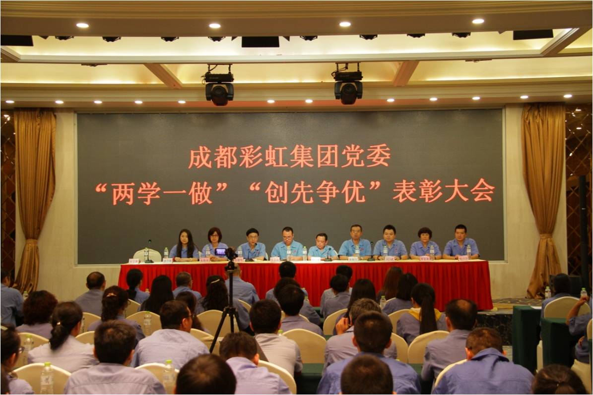 成都乐玩在线手机版（大中国区）集团党委召开“两学一做”“创先争优”表彰大会