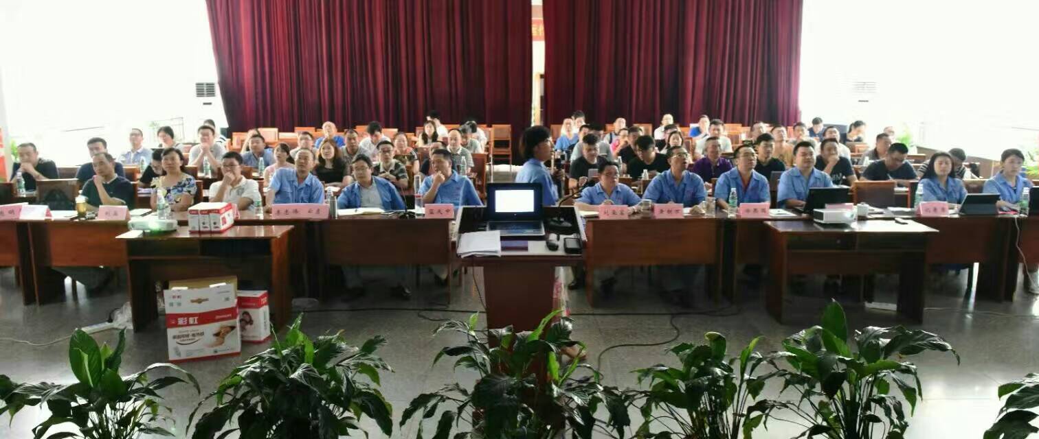 乐玩在线手机版（大中国区）集团营销中心16年汇报会