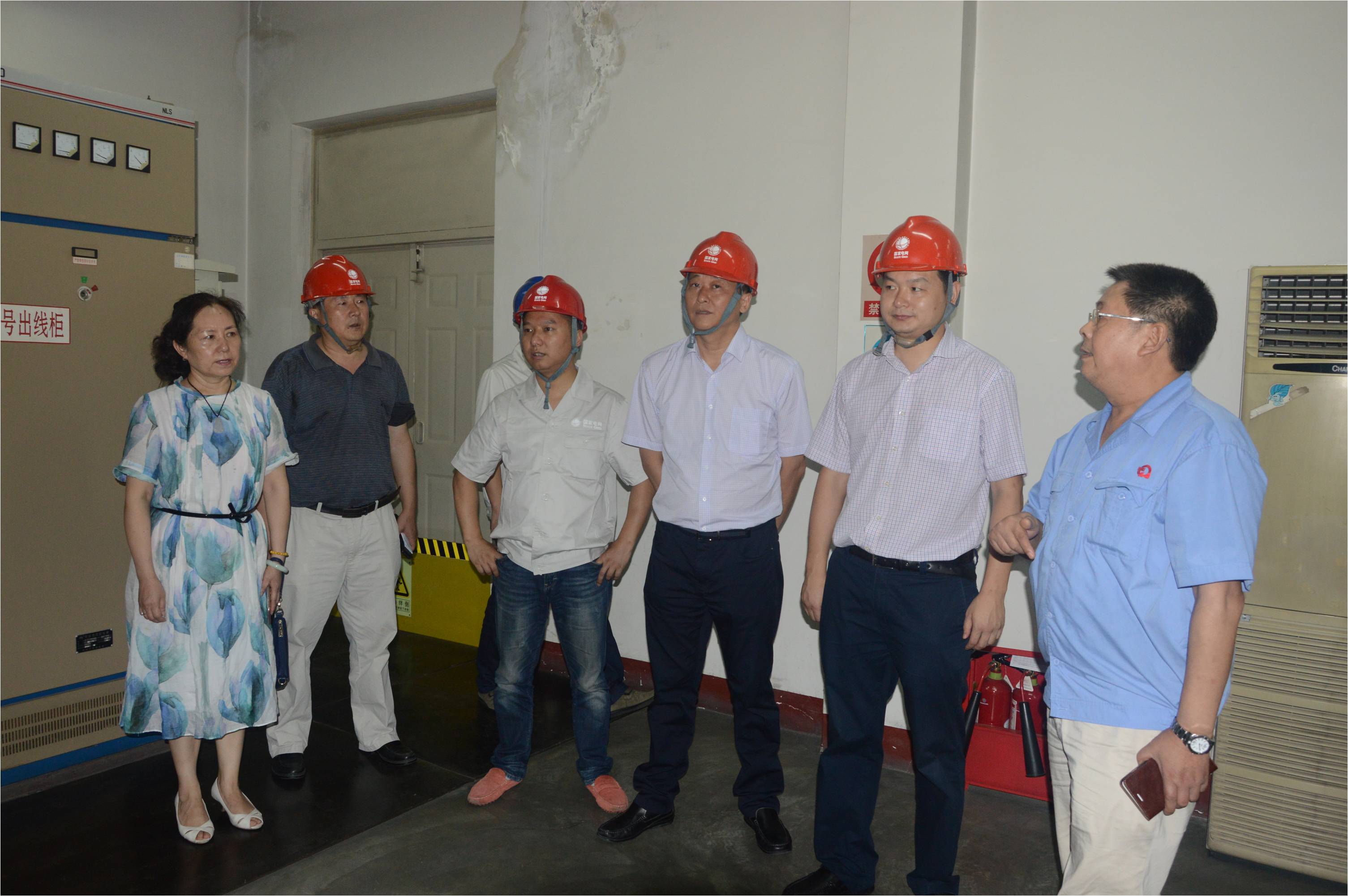 省、市、区供电局领导一行8人就用电情况对乐玩在线手机版（大中国区）集团进行暗访检查