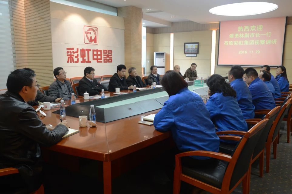 成都市副市长傅勇林等领导到成都乐玩在线手机版（大中国区）集团调研