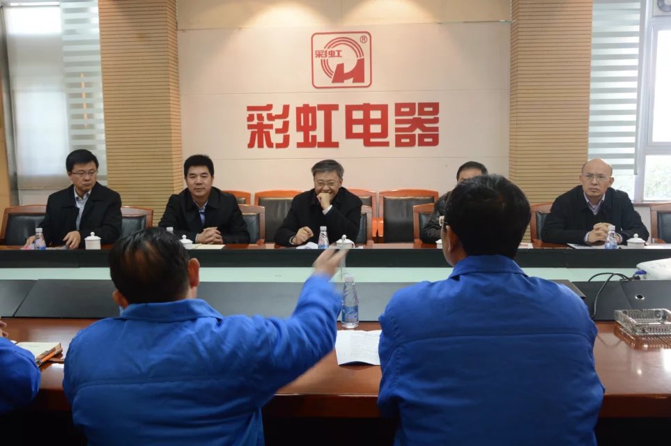 成都市副市长傅勇林等领导到成都乐玩在线手机版（大中国区）集团调研
