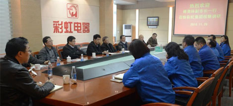 成都市副市长傅勇林等领导到成都乐玩在线手机版（大中国区）集团调研