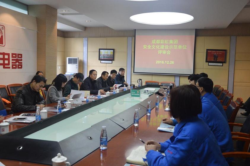 成都乐玩在线手机版（大中国区）集团安全文化建设示范单位评审会