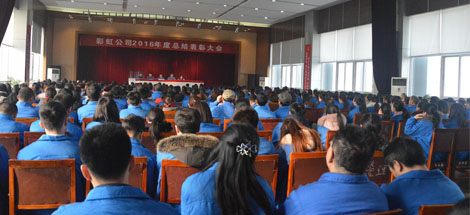 成都乐玩在线手机版（大中国区）集团召开2016年度总结表彰大会
