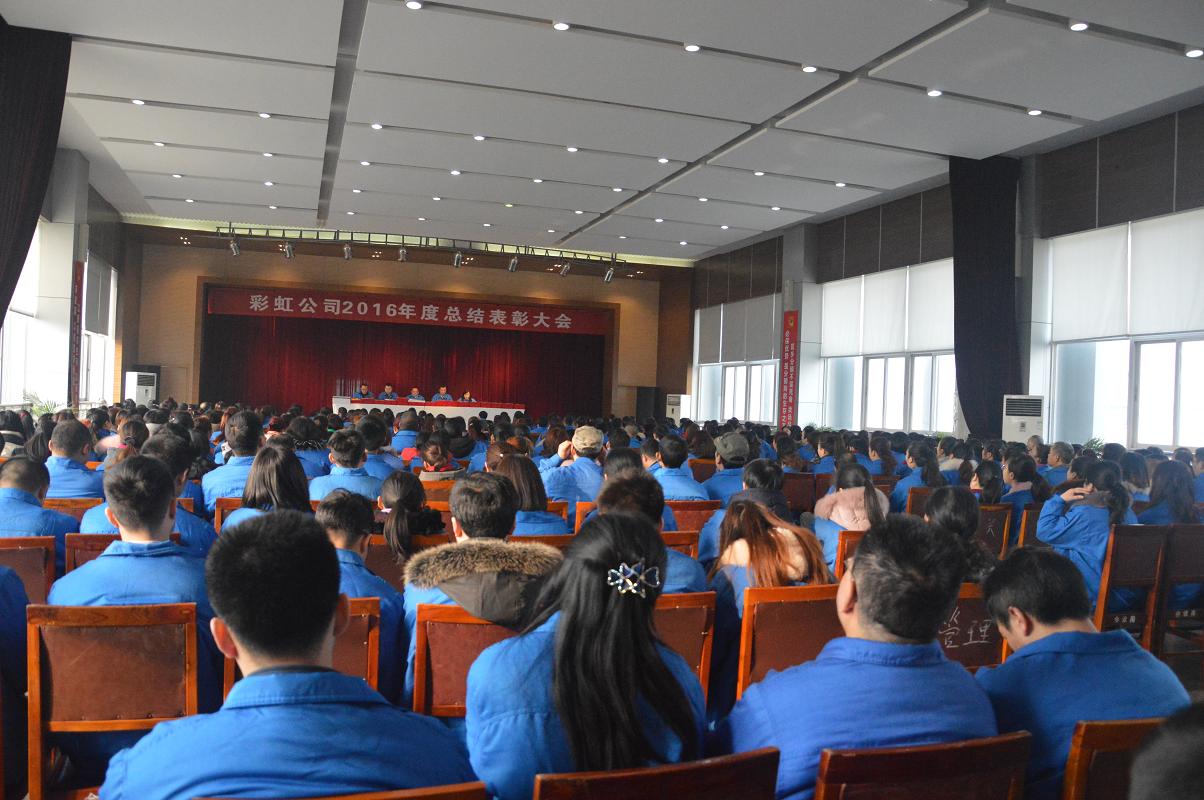 成都乐玩在线手机版（大中国区）集团2016年度总结表彰大会