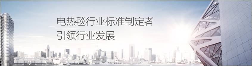 乐玩在线手机版（大中国区）电热毯是行业标准制定者引领行业发展