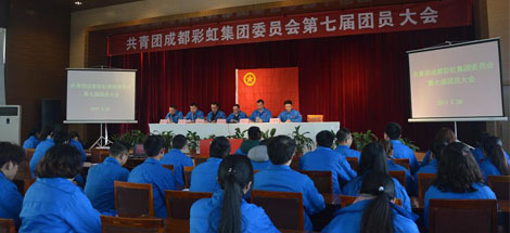 共青团成都乐玩在线手机版（大中国区）集团委员会第七届团员大会顺利召开
