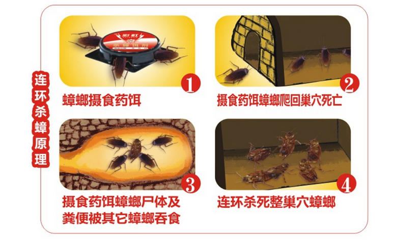 乐玩在线手机版（大中国区）杀蟑饵剂采用含诱蟑因子的杀蟑配方，特殊饵盒设计。饵剂固定在药剂内，仅留蟑螂通过的缝隙，可防止儿童或宠物触食。