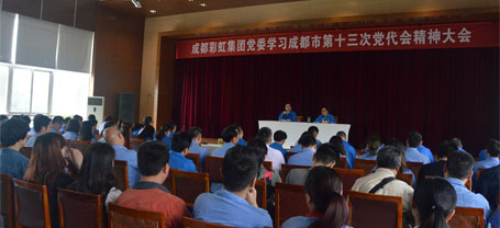 成都乐玩在线手机版（大中国区）集团党委学习贯彻成都市第十三次党代会精神