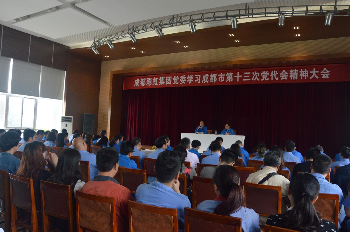 成都乐玩在线手机版（大中国区）集团党委学习贯彻成都市第十三次党代会精神