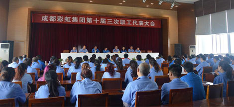 成都乐玩在线手机版（大中国区）集团召开第十届三次职工代表大会