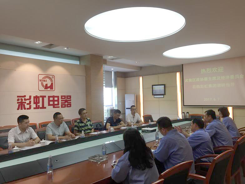 武侯区政协蔡主席及经济委员会领导到乐玩在线手机版（大中国区）集团调研