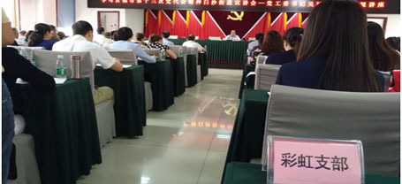 成都乐玩在线手机版（大中国区）集团日化党支部学习成都市第十三次党代会精神