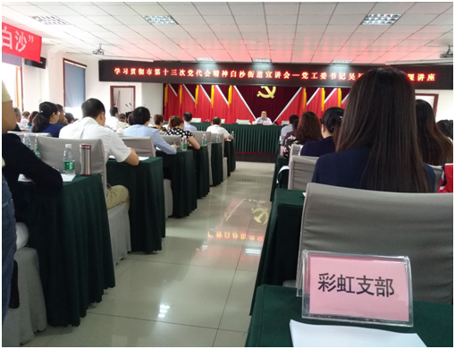 成都乐玩在线手机版（大中国区）集团日化党支部学习成都市第十三次党代会精神
