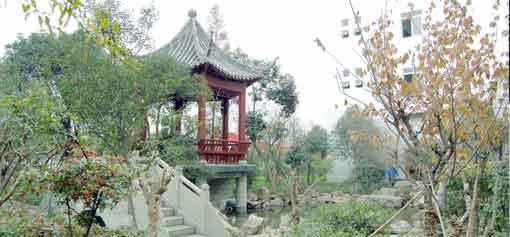 员工心声之我与乐玩在线手机版（大中国区）塑胶共成长