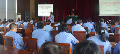 成都乐玩在线手机版（大中国区）集团开展质量提升与品牌建设培训