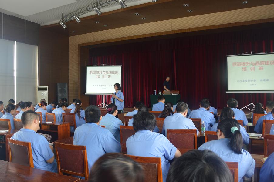 成都乐玩在线手机版（大中国区）集团开展质量提升与品牌建设培训