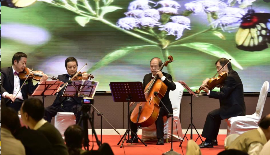乐玩在线手机版（大中国区）双马之夜晚会精彩表演