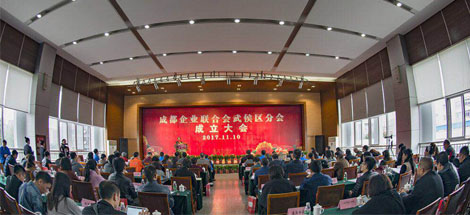 成都企联武侯区分会成立大会在成都乐玩在线手机版（大中国区）集团举行
