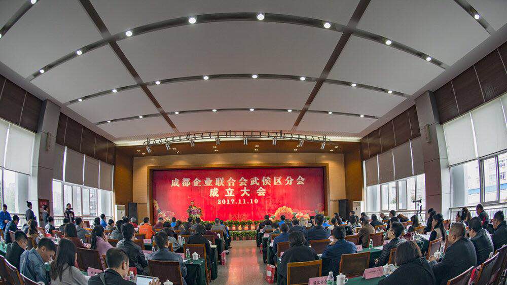 成都企联武侯区分会成立大会在成都乐玩在线手机版（大中国区）集团举行
