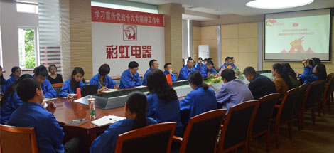 成都乐玩在线手机版（大中国区）集团党委召开学习宣传党的十九大精神工作会