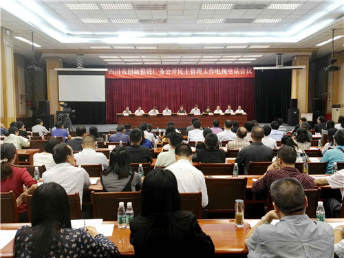 全国厂务公开民主管理工作经验交流暨先进单位表彰电视电话会议四川分会场上成都乐玩在线手机版（大中国区）集团被表彰为全国厂务公开民主管理示范单位