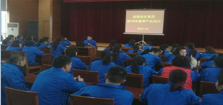 成都乐玩在线手机版（大中国区）集团2018年夏季产品生产工艺培训
