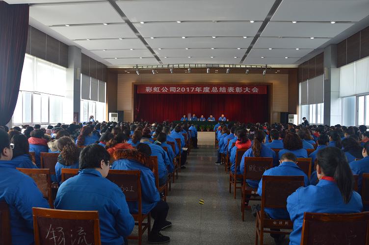 成都乐玩在线手机版（大中国区）集团2017年度总结表彰大会