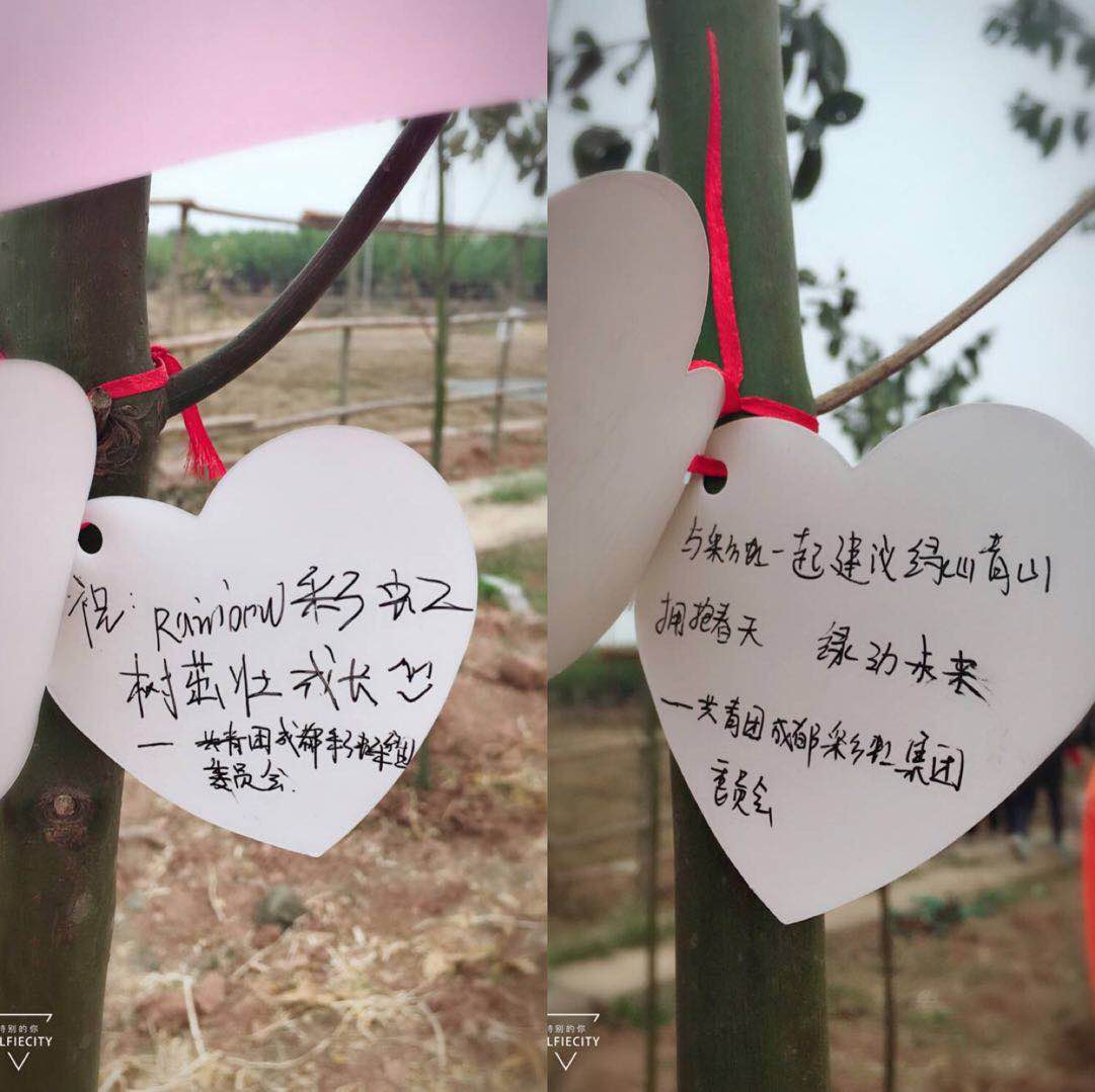 共青团成都乐玩在线手机版（大中国区）集团团委及团员青年代表参加高新区植树节志愿服务活动