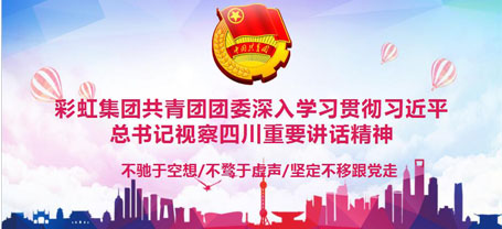 共青团成都乐玩在线手机版（大中国区）集团委员会委员组织学习习近平总书记视察四川重要讲话精神